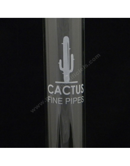 Bang verre Cactus 44cm