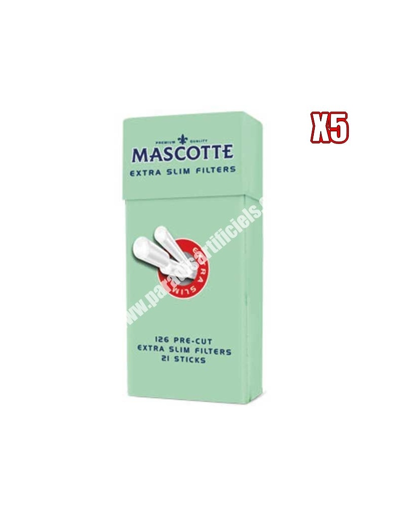 Stick filtre mousse Mascotte par 5